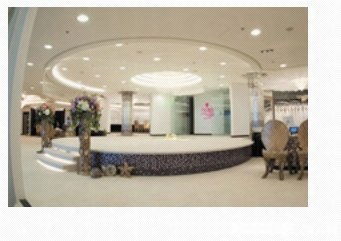 芝柏一站式服務 婚紗攝影、新娘化妝與禮服租賃，記錄您的完美瞬間